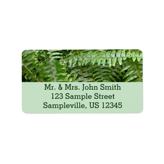 Fern Fronds I Green Nature Label (Front)
