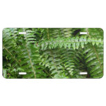 Fern Fronds I Green Nature License Plate