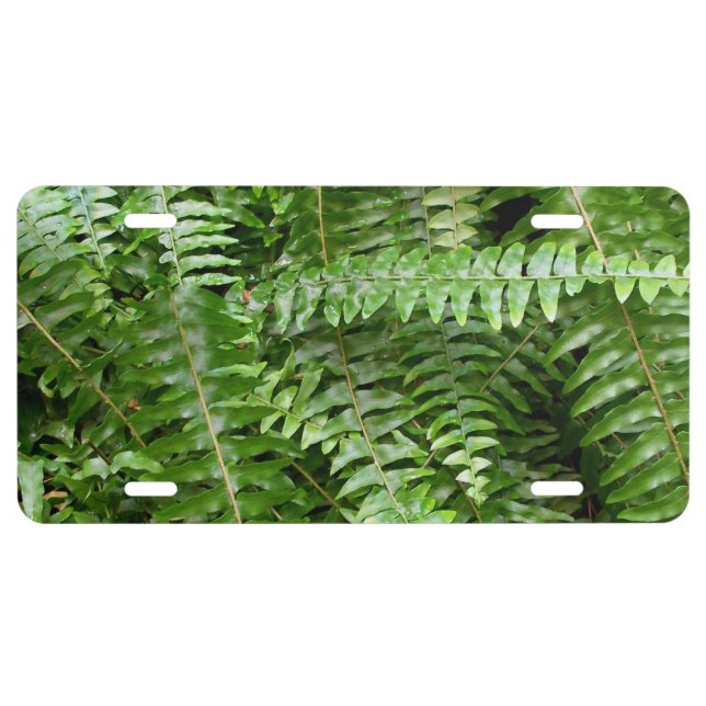 Fern Fronds I Green Nature License Plate (Front)