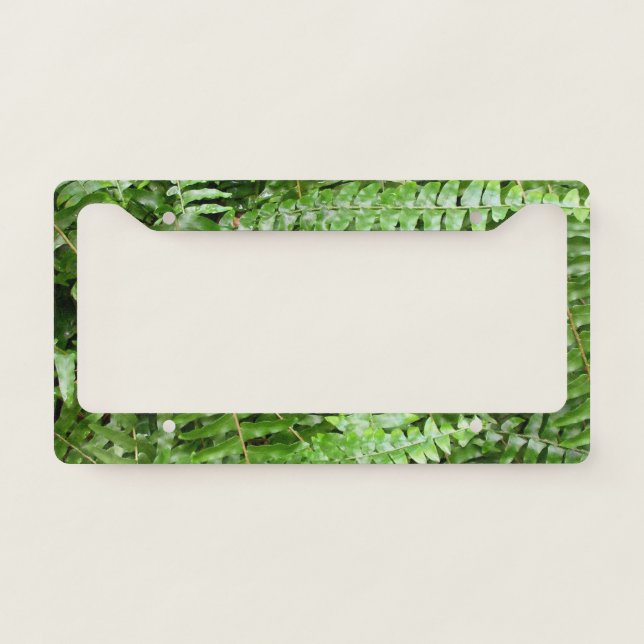 Fern Fronds I Green Nature License Plate Frame (Front)