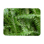 Fern Fronds I Green Nature Magnet