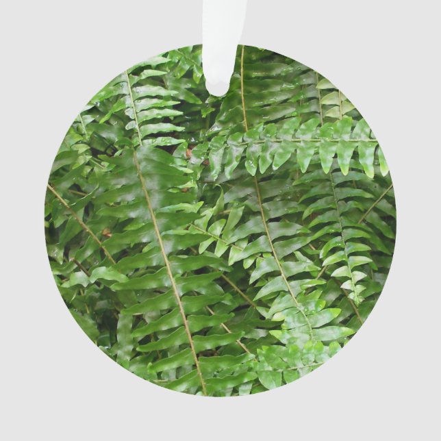 Fern Fronds I Green Nature Ornament (Front)