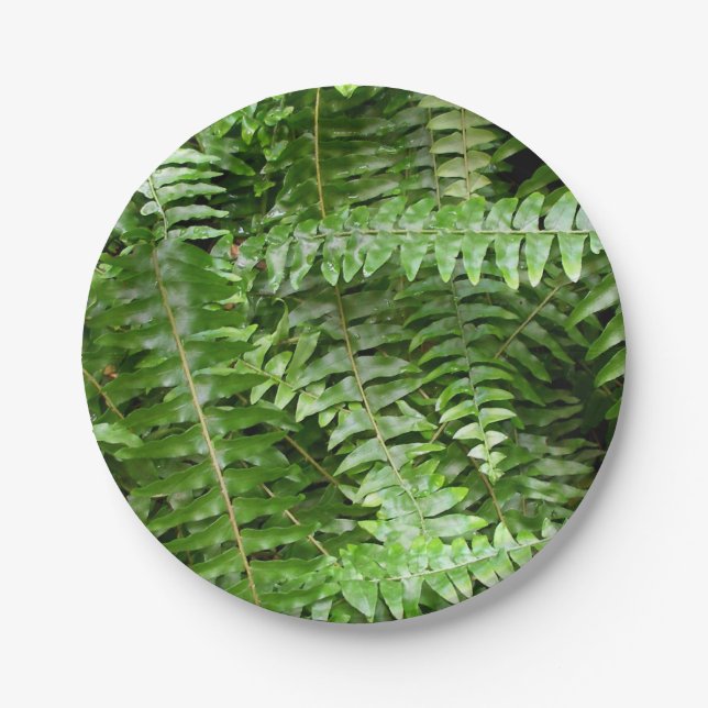 Fern Fronds I Green Nature Paper Plates (Front)