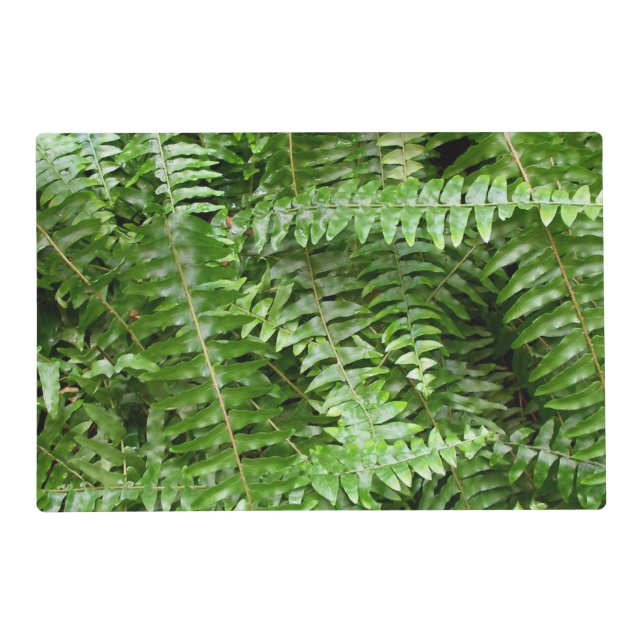Fern Fronds I Green Nature Placemat (Front)