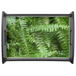 Fern Fronds I Green Nature Serving Tray