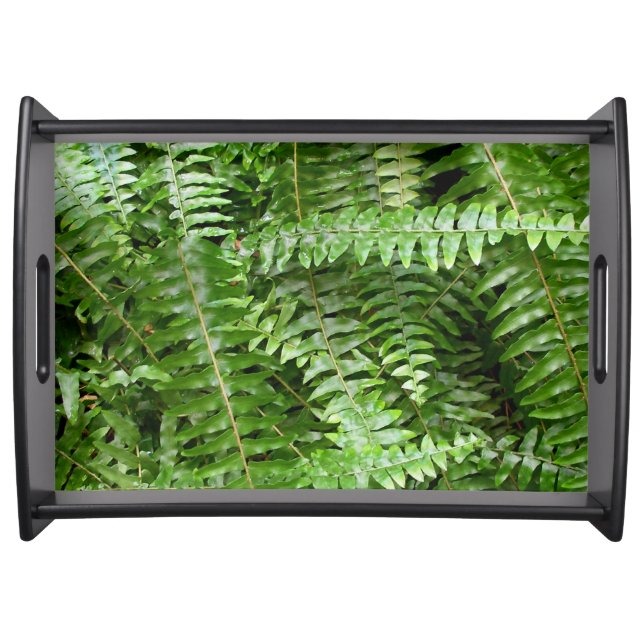Fern Fronds I Green Nature Serving Tray (Front)