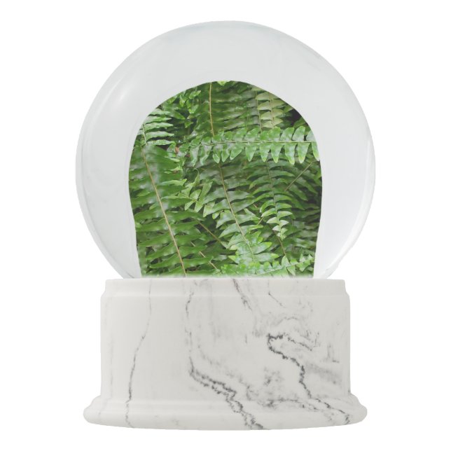 Fern Fronds I Green Nature Snow Globe (Front)