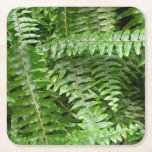 Fern Fronds I Green Nature Square Paper Coaster