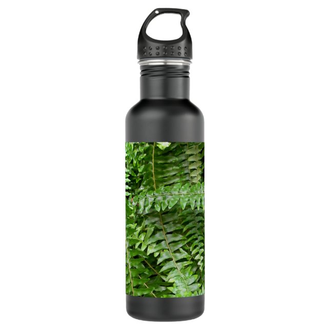 Fern Fronds I Green Nature Stainless Steel Water Bottle (Front)