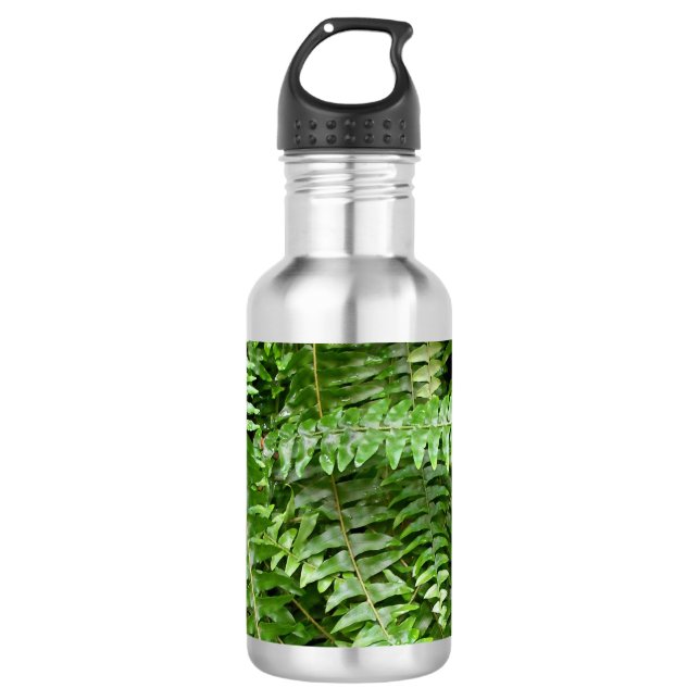 Fern Fronds I Green Nature Stainless Steel Water Bottle (Front)
