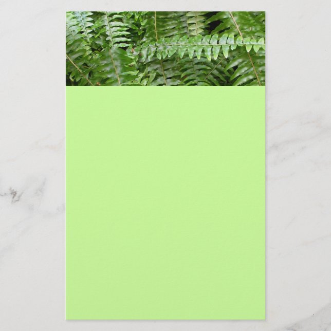 Fern Fronds I Green Nature Stationery (Front)