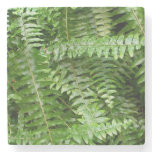 Fern Fronds I Green Nature Stone Coaster