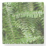 Fern Fronds I Green Nature Stone Coaster