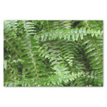 Fern Fronds I Green Nature Tissue Paper