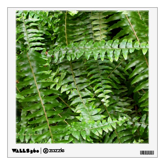 Fern Fronds I Green Nature Wall Sticker (Front)