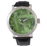 Fern Fronds I Green Nature Watch