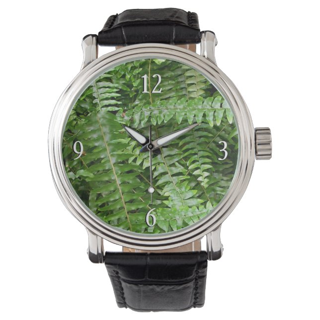 Fern Fronds I Green Nature Watch (Front)