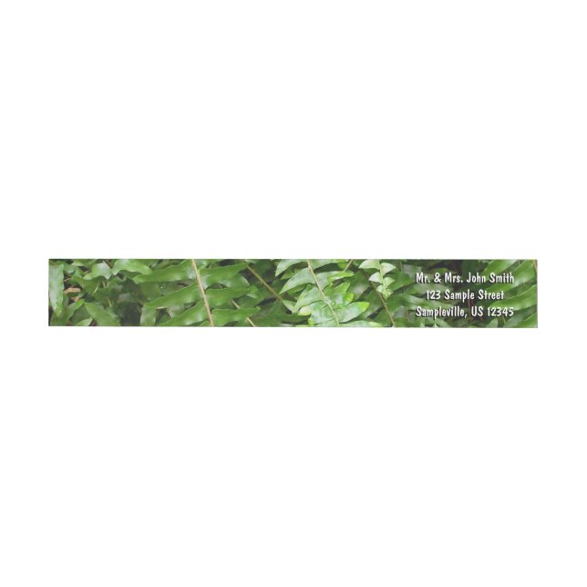 Fern Fronds I Green Nature Wrap Around Label (Individual)