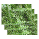 Fern Fronds I Green Nature Wrapping Paper Sheets