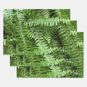 Fern Fronds I Green Nature Wrapping Paper Sheets