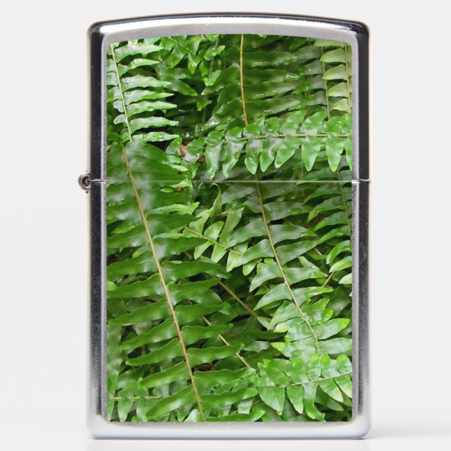 Fern Fronds I Green Nature Zippo Lighter (Front)