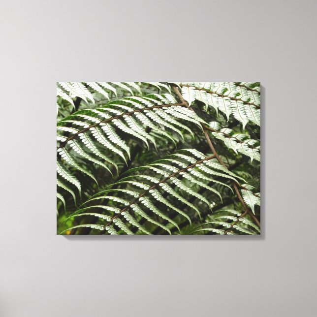 Fern Fronds II Dark Green Nature Canvas Print (Front)
