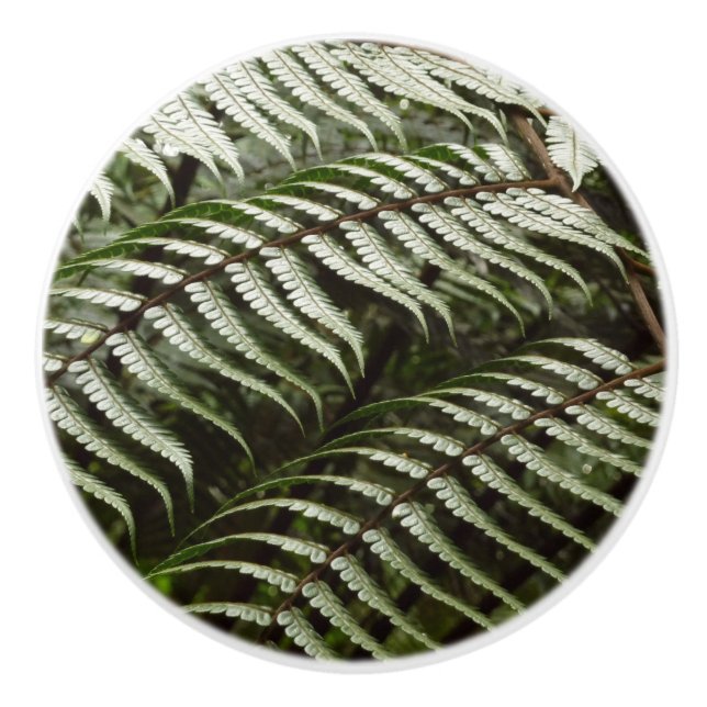 Fern Fronds II Dark Green Nature Ceramic Knob (Front)