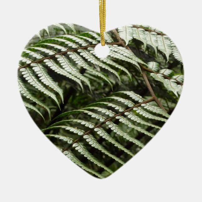 Fern Fronds II Dark Green Nature Ceramic Ornament (Front)