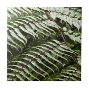 Fern Fronds II Dark Green Nature Ceramic Tile