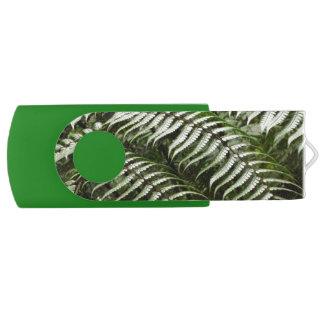 Fern Fronds II Dark Green Nature Flash Drive