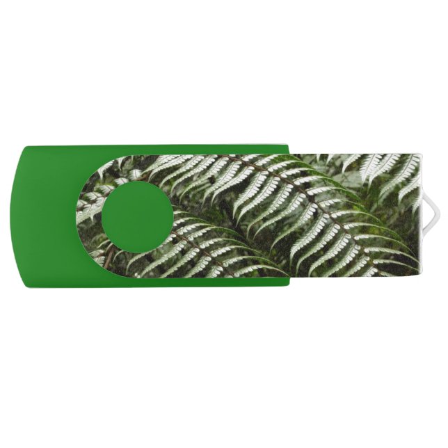 Fern Fronds II Dark Green Nature Flash Drive (Front)