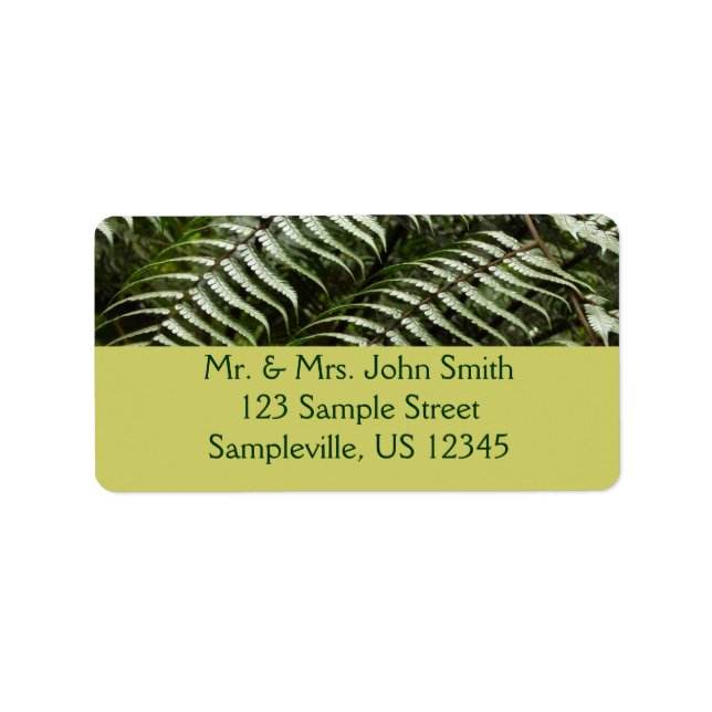 Fern Fronds II Dark Green Nature Label (Front)