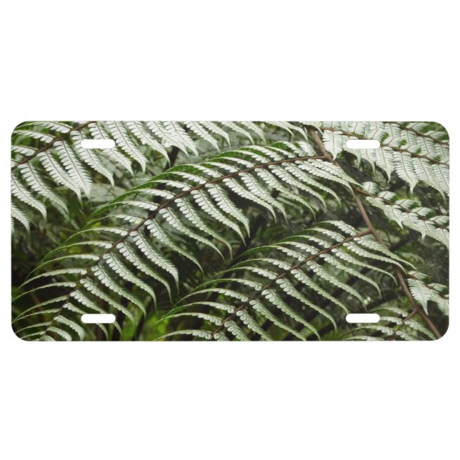 Fern Fronds II Dark Green Nature License Plate (Front)