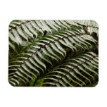 Fern Fronds II Dark Green Nature Magnet