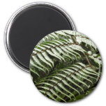 Fern Fronds II Dark Green Nature Magnet