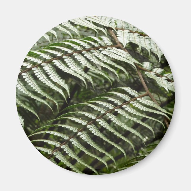 Fern Fronds II Dark Green Nature Magnet (Front)