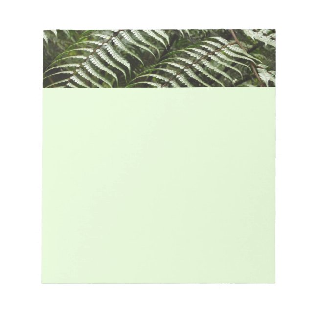 Fern Fronds II Dark Green Nature Notepad (Front)