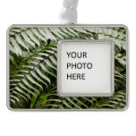 Fern Fronds II Dark Green Nature Ornament