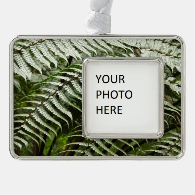 Fern Fronds II Dark Green Nature Ornament (Front)