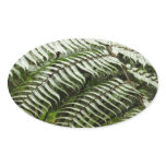 Fern Fronds II Dark Green Nature Oval Sticker