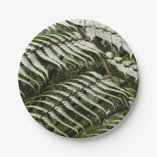 Fern Fronds II Dark Green Nature Paper Plates (Front)