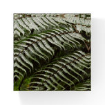 Fern Fronds II Dark Green Nature Paperweight