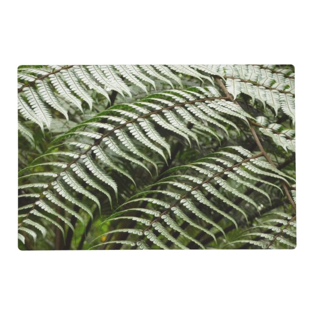 Fern Fronds II Dark Green Nature Placemat (Front)