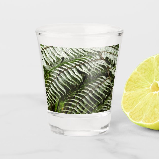Fern Fronds II Dark Green Nature Shot Glass (Front)