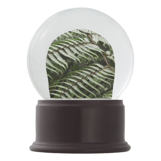 Fern Fronds II Dark Green Nature Snow Globe (Front)