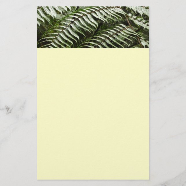 Fern Fronds II Dark Green Nature Stationery (Front)