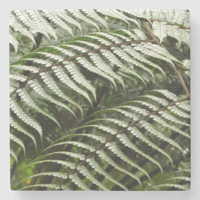 Fern Fronds II Dark Green Nature Stone Coaster (Front)