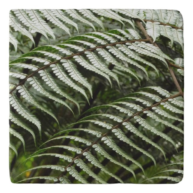 Fern Fronds II Dark Green Nature Trivet (Front)