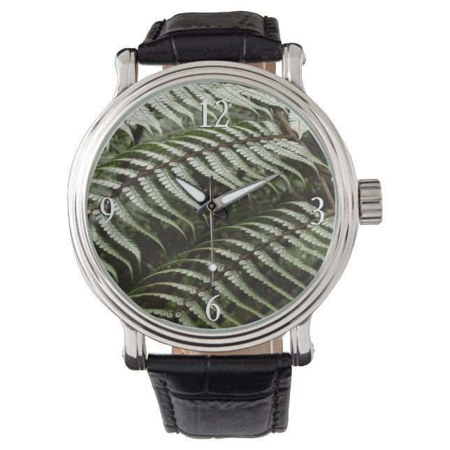 Fern Fronds II Dark Green Nature Watch (Front)