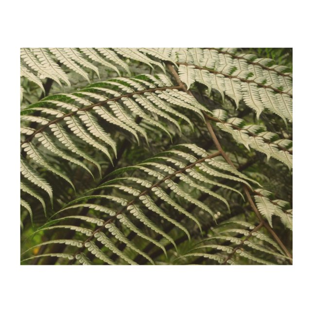 Fern Fronds II Dark Green Nature Wood Wall Art (Front)